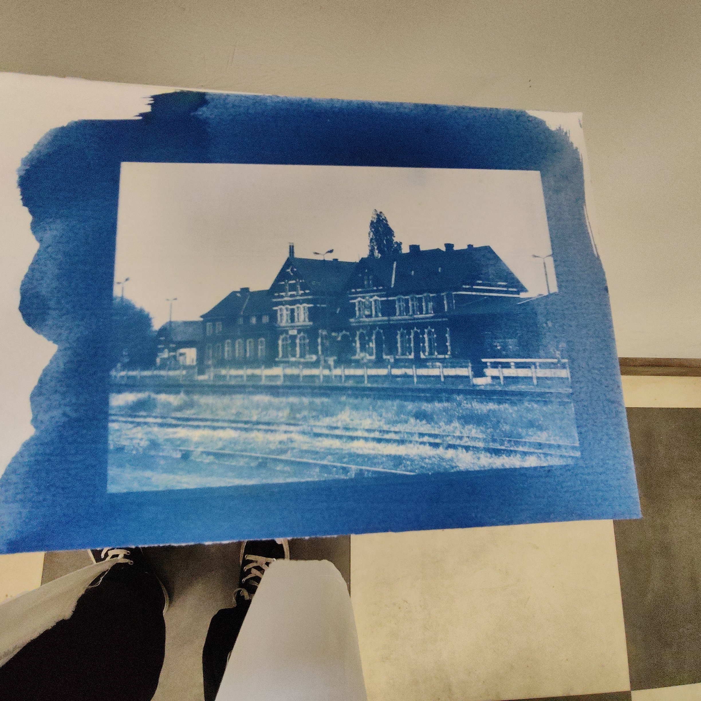 Warsztaty z cyjanotypii w pracowni chemicznej- gdzie sztuka spotyka chemię i ekologię