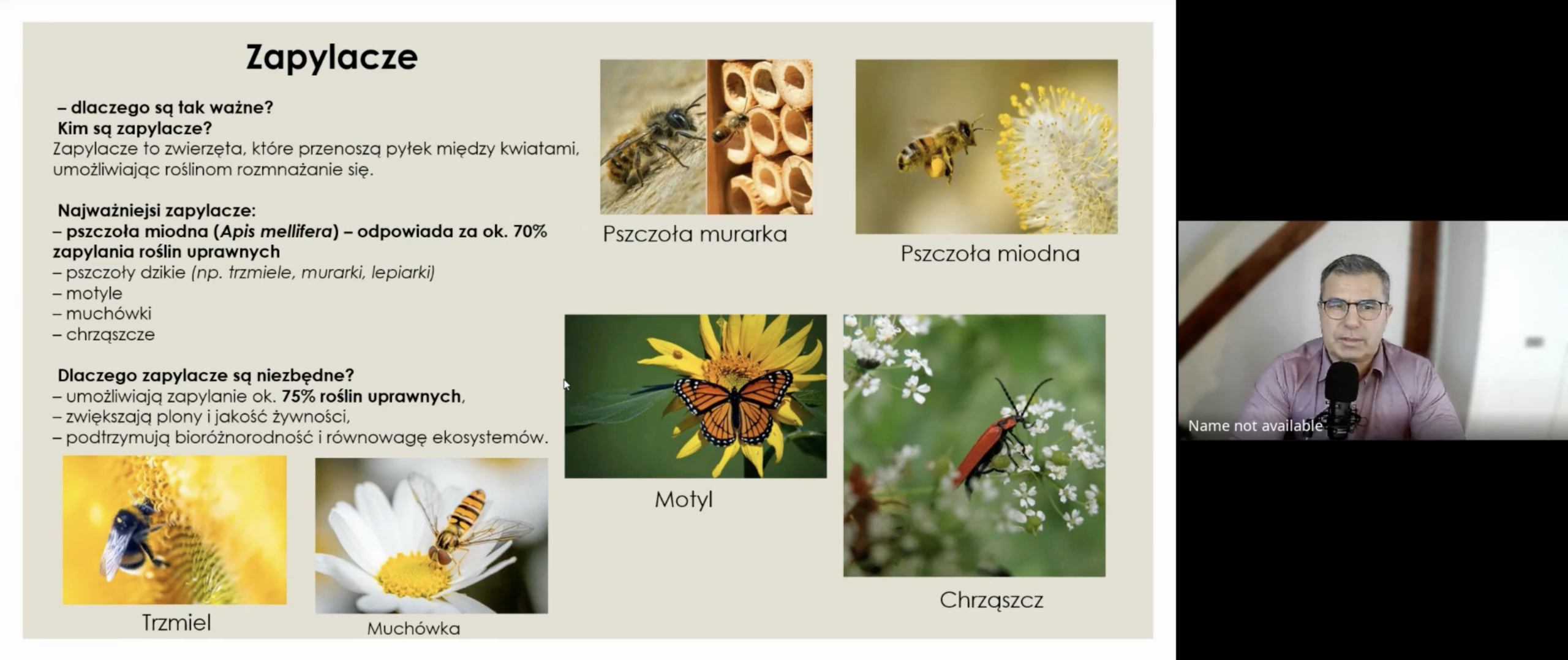 🐝🌿 Spotkanie z ekspertem z zakresu ekologii